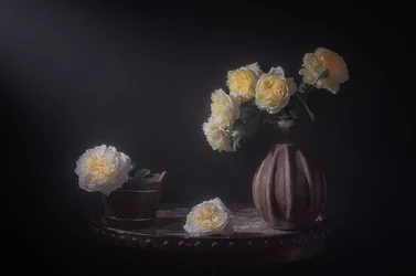 Elegant Yellow Roses