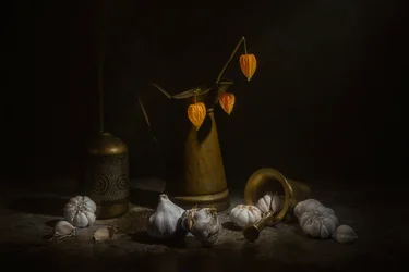Garlic
