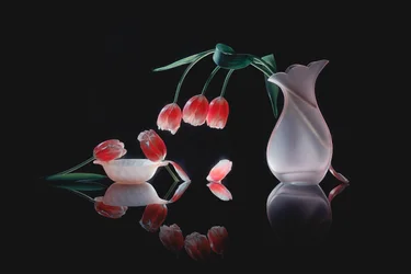 Glowing Tulips Reflection