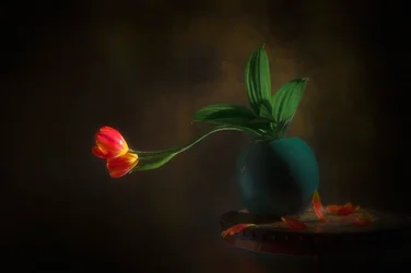 Graceful Tulips Still Life