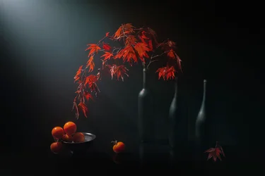 Moody Autumn Still Life