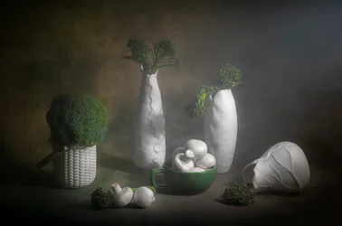 Moody Broccoli Still Life