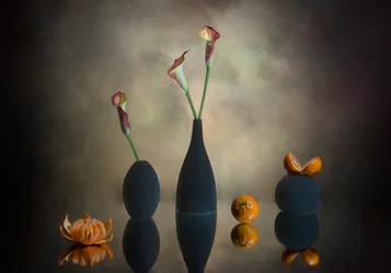 Moody Calla Lilies Oranges