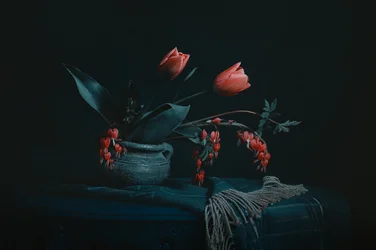 Moody Floral Still Life