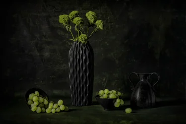 Moody Grapes and Flowers