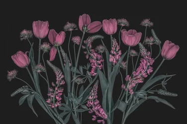 Moody Pink Blooms