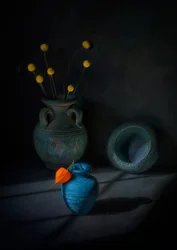 Moody Still Life Vases