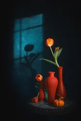 Moody Tulips Still Life