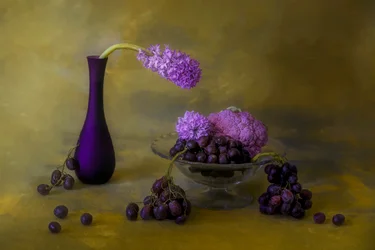 Opulent Purple Still Life