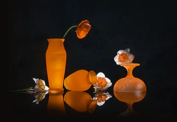 Orange Blooms Still Life