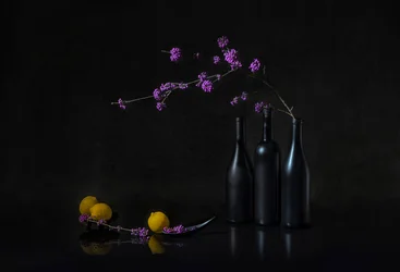 Purple Berries Dark Still Life