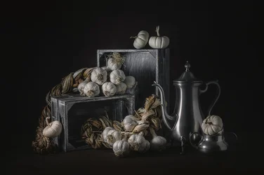 Rustic Garlic Still Life