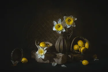 Spring Daffodils and Lemons