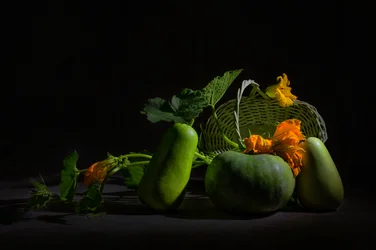 Vibrant Harvest Still Life