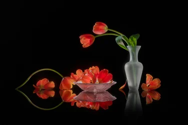 Vibrant Tulips Still Life