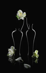 White Flowers, Dark Vases