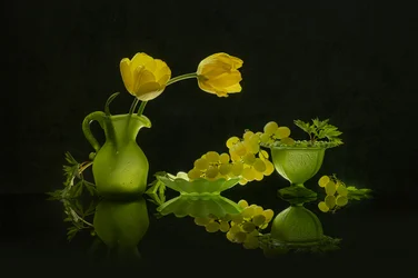 Yellow Tulips, Green Grapes