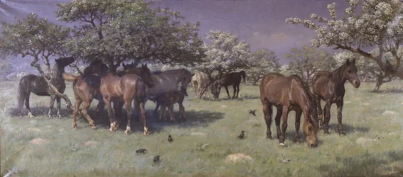 Horses in the Deer Park