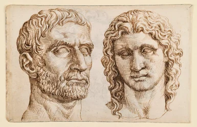 Head of an Older Man, Head of a Young Man
