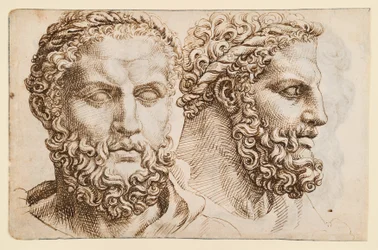 Two Studies after the Head of the Vatican "Hercules"