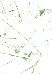 Abstract Green Lines