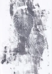 Abstract Leaf Textures