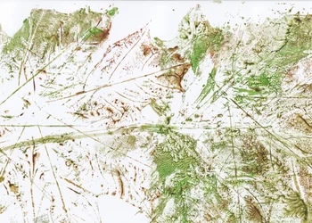 Abstract Leaf