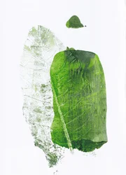 Botanical Green Shapes