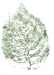 Botanical Leaf Print