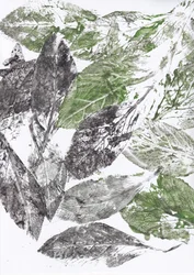 Botanical Leaf Prints