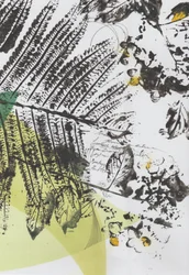 Botanical Script Layers