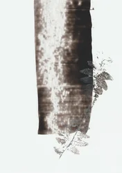 Dark Botanical Stroke
