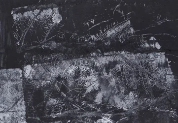 Dark Organic Texture