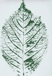Detailed Green Leaf Print