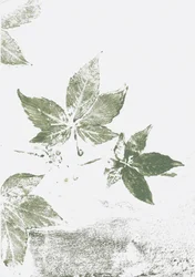 Green Leaf Impressions