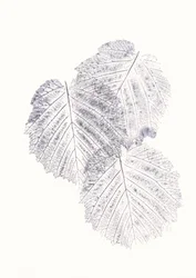 Minimalist Leaf Textures