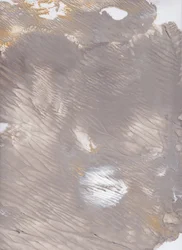 Muted Earth Flow
