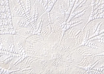 Soft Cream Lace Pattern
