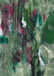 Vibrant Forest Layers