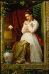 The Love of the Hummingbird
