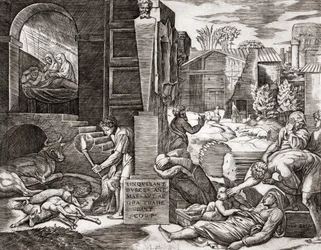 The Plague