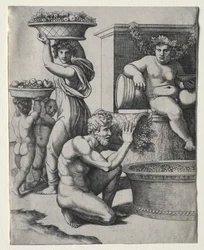 The Wine Press