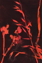 Red Leaves