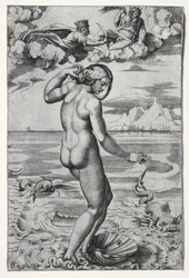 The Birth of Venus