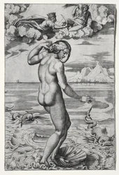 The Birth of Venus, c. 1516
