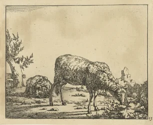 Grazing Sheep and Lying Sheep by Fence (Sheep)