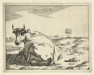 Lying Cow