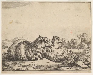 Sheep, from a set of 16 plates