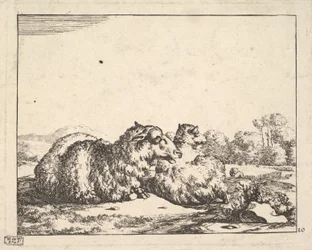 Sheep, from a set of 16 plates, 1664