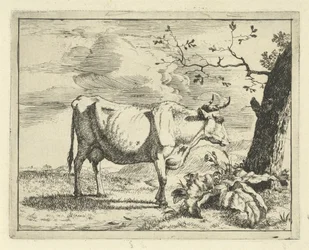 Standing Cow by Tree (Cattle and Pigs series)